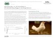 4AJ-70P0: Kentucky 4-H Poultry:Evaluating Egg-Laying Hens · Egg weight Egg production 80 60 40 20 0 Egg weight (lb) Weeks of age Persistency of Lay When placing a class of hens for