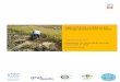 Agricultural residues for energy production in Mali Report a a a rapporter til Mali... · 3.1 Conceptual framework 10 3.2 Methodology 11 3.2.1 Straw-to-grain ratio (rice) 11 3.2.2