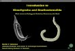 Introduction to Kinorhyncha and Gnathostomulidaevolution.unibas.ch/teaching/blockkurs_zoologie/intern... · 2013-03-04 · Kinorhyncha Priapulida Loricifera Nematoda Nematomorpha