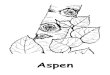 Glacier Alphabet Coloring Pages · Title: Glacier Alphabet Coloring Pages Keywords: A to Z line drawings of plants and animals found in Glacier National Park Created Date: 7/7/2008