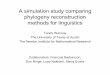A simulation study comparing phylogeny reconstruction methods … · 2007-12-04 · A simulation study comparing phylogeny reconstruction methods for linguistics Collaborators: Francois
