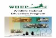 Education Program - Texas 4-H€¦ · on wildlife management in addition to the contest format. WHEP was acknowledged with the Conservation Education Award by The Wildlife Society