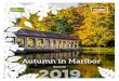 Autumn in Maribor ·  MORE EVENTS IN MARIBOR AND ADDITIONAL INFORMATION: TIC MARIBOR Partizanska cesta 6 A, Maribor T: +386 2 234 66 11 E: tic@maribor.si Maribor - …