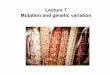 Lecture 7 Mutation and genetic variation · 10/8/2015  · Point mutations There are four categories of point mutations: 1. transitions (e.g., A → G, C → T) 2. transversions (e.g.,
