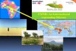 FMNR: An International regreening Odyssey Rinaudo Presentation...Greater crop resilience to drought. Doubling of crop yields. Niger: + 500,000 tonnes of cereals/year Crop yields doubled