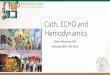 Cath, ECHO and Hemodynamics 1600...Hemodynamics, Cath, Echo Source Document Priority for Coding 1. Pre-op results captured from objective studies (cath, echo, nuclear study, etc..)
