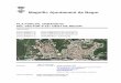 Magnífic Ajuntament de Begurbegur.cat/web/dmdocuments/PROJECTES/S-18/mod_poum_S-18.pdf · definició clara dels paràmetres urbanístics bàsics del conjunt. L’estudi volumètric