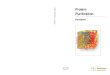 Protein Purificationwolfson.huji.ac.il/purification/Course92632_2014/Purification Strateg… · Additional reading and reference material Antibody Purification Code No. 18-1037-46