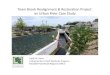 Town Brook Realignment Restoration Project: an Urban River ... · Town Brook Realignment & Restoration Project: an Urban River Case Study ... • An adjudicatory hearing decision
