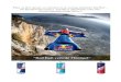 Definitions - s3images.coroflot.com · “Spreading its wings” internationally since its birth in 1987, 2008 saw Red Bull® GmbH worth €10.9 billion, selling over four billion