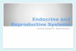 Endocrine and Reproductive Systems€¦ · The Endocrine system working with other body systems… Nervous System: Hormones provide feedback to the brain to affect neural processing