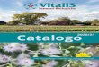Catalogo 2020/21 catalogue/cat-2020... · Slicer - Incas F1 Tipologia: slicer partenocarpico. Posizionamento: adatto per coltivazioni in serra. Particolarmente adatto alle condizioni