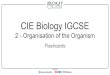 CIE Biology IGCSE - PMT...CIE Biology IGCSE 2 - Organisation of the Organism Flashcards State 4 parts of an animal cell visible under a light microscope State 4 parts of an animal