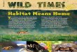 Habitat Means Home · 2015-04-30 · WHITE TAILED DEER In spring, white-tailed deer eat young plants and tender shoots. Female deer (called “does”) seek dense cover, where their