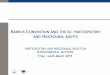 A CONVENTION AND THE EU PARTICIPATORY AND …ec.europa.eu/environment/legal/law/3/3_training... · ensure effective judicial protection in the fields covered by EU environmental law,