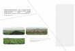 Natural England Commissioned Report NECR090 - The impacts ... · Peatland Restoration assumes peat-forming conditions under permanently high ground water levels and surface flooding,