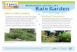 What is a Rain Garden? Healthy & Functional · rain gardens must receive 1” of water per week including rainfall. Water new trees and shrubs weekly until soil to depth of roots