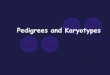 Pedigrees and Karyotypes...Sex-Linked Inheritance Colorblindness Key: affected male affected female unaffected male unaffected female cc Cy cy Cc Cc cy cy. Karyotypes To analyze chromosomes,