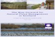 The Way Forward for Natural Flood Management in Scotland · The Way Forward for Natural Flood Management in Scotland 1 1 Flood management: the sustainable approach 1.1 Why the sustainable