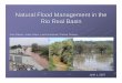 Natural Flood Management in the Rio Real Basin · 2019-12-18 · natural flood management Organize activities to remove debris from the river channel caused by humans. Basin-wide
