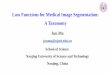 Loss Functions for Medical Image Segmentation: A Taxonomy · PDF file Salehi, Seyed Sadegh Mohseni, Deniz Erdogmus, and Ali Gholipour. "Tversky loss function for image segmentation