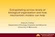 Extrapolating across levels of biological organization and ... · Extrapolating across levels of biological organization and how mechanistic models can help Valery E. Forbes ... We