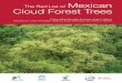 TheRedListof Mexican CloudForestTrees · 2013-09-12 · database (maintained by the Missouri BotanicalGarden)asausefulinformation source.Theadoptednamesoffamilesand Mexican cloud