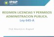 REGIMEN LICENCIAS Y PERMISOS ADMINISTRACION PUBLICA. …ipap.chaco.gov.ar/uploads/publicacion/6193c28a0fce... · • Las Demás licencias y permisos: Directores de Unidad Administrativa