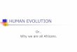 HUMAN EVOLUTIONtcdsbstaff.ednet.ns.ca/hwalsh/acs/EVOLUTION 2013.pdfFIRST “HUMANS” Humans are members of the genus Homo Modern people are Homo sapiens However, we are not the only