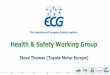 Health & Safety Working Group - ECG AssociationKey Accident Sharing & Learning ... Slips & Trips Roll-off Fall Collision Equipment Fire (Un)Loading Incidents in 2018 Fatal Unrecoverable