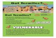 Your home is VULNERABLE · For a liquid termite termicide product to protect your home from termites, it needs to get several feet into the soil where subterranean termites travel