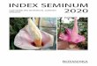 INDEX SEMINUM 2020 · PDF file Prov: Garden - wild origin. IPEN: TH-0-GB-2010-1647. 30 Amorphophallus consimilis Blume Tubers. Acc: 2008-1641. Plant source: Botanischer Garten der