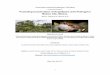 Promoting Conservation of Amphibians at El Pedregal in ......1 Conservation Leadership Programme: Final Report Project ID 02244015 Promoting Conservation of Amphibians at El Pedregal