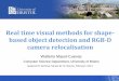 Real time visual methods for shape- based object detection ... · Real time visual methods for shape-based object detection and RGB-D camera relocalisation ... •Object detection
