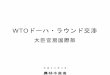 WTOドーハ・ラウンド交渉 - maff.go.jp · 2019-04-12 · WTOドーハ・ラウンドの流れ（農業交渉を中心に） 05年 12 月 04年 7月 01年 月 11月 00年 3月