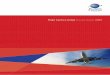 Flight Centre Limited Annual Report 2007annualreports.com/.../AnnualReportArchive/f/ASX_FLT_2007.pdf · 2016-11-25 · 4 Flight Centre Limited Annual Report 2007 Welcome to Flight