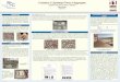 Evaluation of Lightweight Pieces in AggregatesThe three methods that were examined are Lightweight Pieces in Aggregate in accordance with AASHTO T 113, NDR Visual Test, ... Department