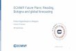 ECMWF Future Plans: Reading, Bologna and global forecasting · 2020-06-03 · WEB SERVICES TELECOM INTERNET RMDCN LEASED LINES SATELLITES EXTERNAL CLOUD MONITORING TITLE ECMWF Bologna
