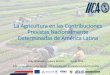 La Agricultura en las Contribuciones Previstas Nacionalmente ...€¦ · La Agricultura en las Contribuciones Previstas Nacionalmente Determinadas de América Latina Kelly Witkowski,