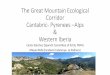 The Great Mountain Ecological Corridor Cantabric‐ Pyrenees ...wild10.org/wp-content/uploads/2013/12/Escute...DIAGNOSIS • Protected Areas • Natura 2000 • Protected areas already
