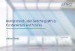 Multiprotocol Label Switching (MPLS) …Multiprotocol Label Switching (MPLS) Fundamentals and Futures Adrian Farrel April 3, 2016 AGENDA •A history lesson •Basic building blocks