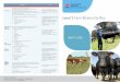 Level 2 Farm Biosecurity Plan - Cattle · ARRIVAL TIPS Level 2 Biosecurity Plan: Beef Cattle . PRE-ARRIVAL TIPS . Determine origin source of cattle if possible. Preference for stock