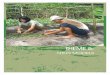 THEME 5 - International Union for Conservation of …...Sa nhan and 2,861 tons of Thao qua have been harvested in Viet Nam (Agriculture and Rural Development Magazine, No. 97 part