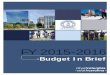 FY 2015-2016...Budget & Program Management. Dear Mayor, City Council, Citizens, Customers, Visitors and Employees, It is our privilege to present the Budget in Brief for fiscal year