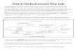Shark Dichotomous Key - MR. KAPA'S DIGITAL …€¦ · Web viewShark Dichotomous Key Lab Classification is a way of separating a large group of closely related organisms into smaller