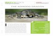 LES ÉCODOCS PHOTOGRAPHIQUE endangered species… · THE KOMODO DRAGON endangered species… LES ÉCODOCS t looks like a dragon from legend. Moreo-ver, the Komodo dragon is the biggest