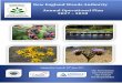 New England Weeds Authority Annual Operational Plan 2017 ... · Council’s 10 Year Business Activity Strategic Plan 2017 - 2027. These actions are reviewed annually ... the draft