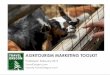 AGRITOURISM MARKETING TOOLKIT · 18/02/2017  · publication, online media, presentation or interaction. USE YOUR UNIQUE VOICE