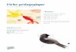 Fiche pédagogique · 2020-04-10 · Fice pédagogique - Le poisson et l’oiseau 3 • Activités de lecture • AU FIL DES PAGES Activités de groupe * à *** Français : Texte
