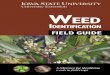 IdentIfIcatIon Field Guide - Langfritz Seed · 2020-01-28 · Accurate weed identification is the first step to successfully managing weeds. Because weed species vary in their response